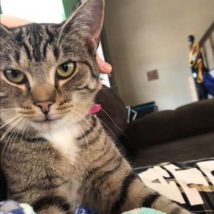 Meet your Posher, Noah